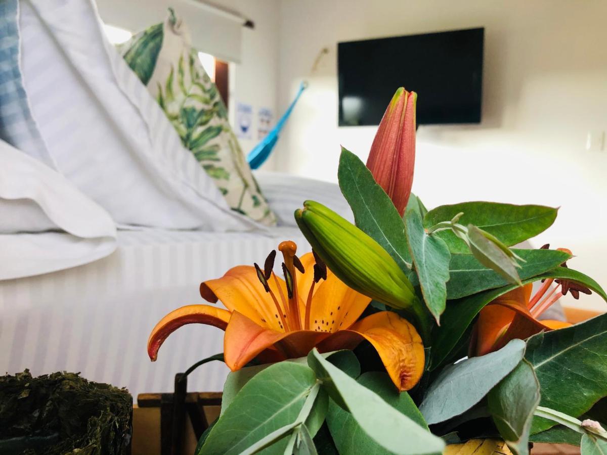 Casa De Las Flores فيلا دي ليفا المظهر الخارجي الصورة